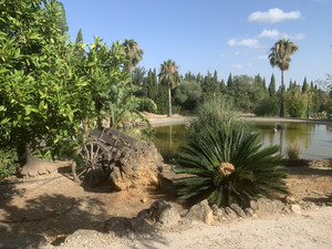 5 slaapkamer Villa te koop in Arcos de la Frontera