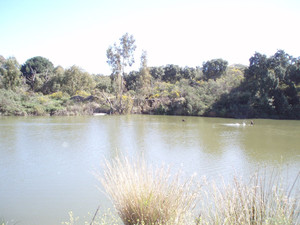 Grondstuk te koop in Mijas