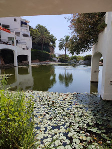 Commercieel te koop in Nerja