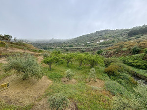 1 slaapkamer Commercieel te koop in Arenas