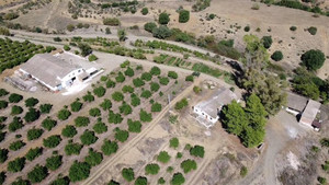 Grondstuk te koop in Coin