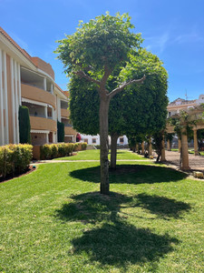 2 slaapkamer Appartement te koop in Denia