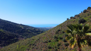 3 slaapkamer Villa te koop in Arenas