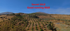 5 slaapkamer Villa te koop in Malaga