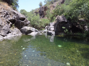 Grondstuk te koop in Estepona