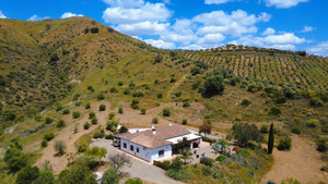 3 slaapkamer Villa te koop in Alora