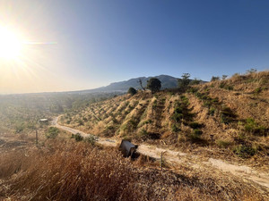 Grondstuk te koop in Alhaurin el Grande