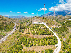 1 slaapkamer Villa te koop in La Vinuela