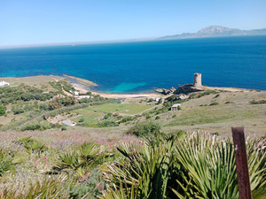 Grondstuk te koop in Tarifa