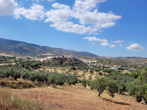 13 slaapkamer Commercieel te koop in El Burgo