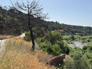 Grondstuk te koop in Estepona