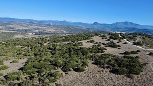 Grondstuk te koop in Sotogrande