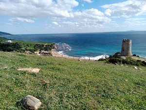 Grondstuk te koop in Tarifa