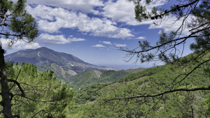 Grondstuk te koop in Coin