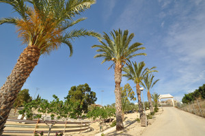 4 slaapkamer Commercieel te koop in Abanilla