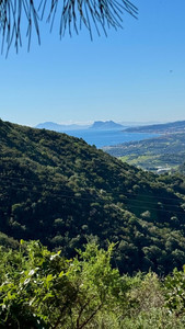 Grondstuk te koop in Estepona