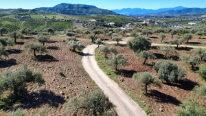 Grondstuk te koop in Alora