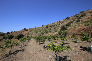 1 slaapkamer Grondstuk te koop in Totalan