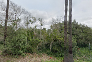 Grondstuk te koop in Sotogrande