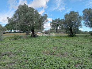 Grondstuk te koop in Barbate