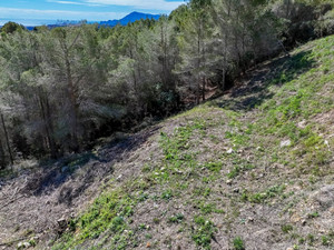 Grondstuk te koop in Callosa d'en Sarria