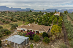 8 slaapkamer Villa te koop in Alhaurin el Grande
