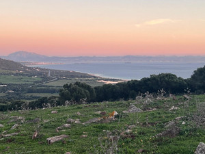 Grondstuk te koop in Tarifa