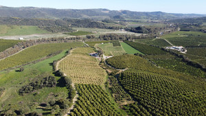 Grondstuk te koop in Casares