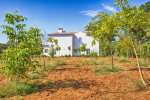 3 slaapkamer Villa te koop in Ronda