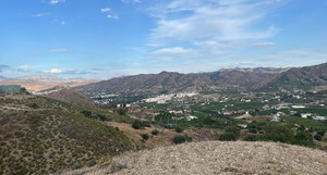 Grondstuk te koop in Alora