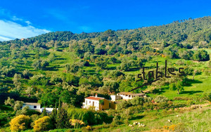 5 slaapkamer Villa te koop in Gaucin