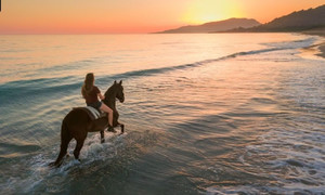 Grondstuk te koop in Tarifa