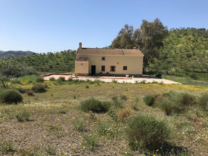 Grondstuk te koop in Casabermeja