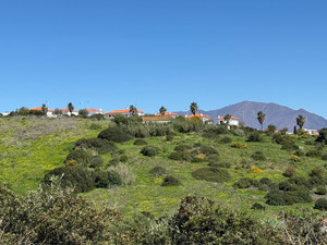 Grondstuk te koop in Manilva