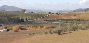 Grondstuk te koop in Colmenar