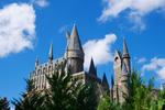 7 спальни Дом для продажи в Kissimmee