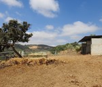 6 bedroom Finca se vende en Villanueva De La Concepcion 