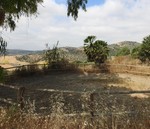 6 bedroom Finca se vende en Villanueva De La Concepcion 