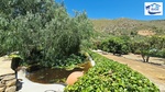 4 bedroom Villa se vende en Alcaucin 