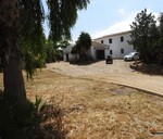 6 bedroom Finca se vende en Villanueva De La Concepcion 