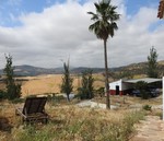 6 bedroom Finca se vende en Villanueva De La Concepcion 