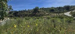 3 bedroom Finca te koop in Velez-Malaga